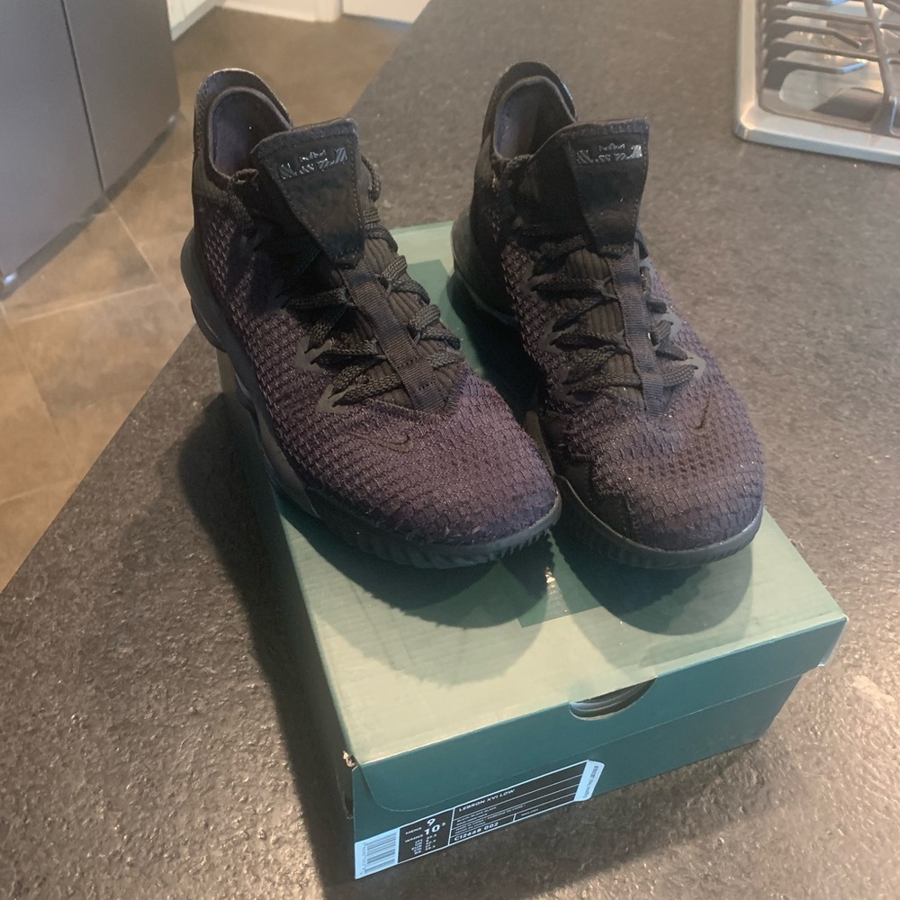 Mens Lebron XVI Low basketball shoes, size 9